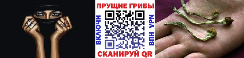 Псилоцибиновые грибы Magic Shrooms Сатка