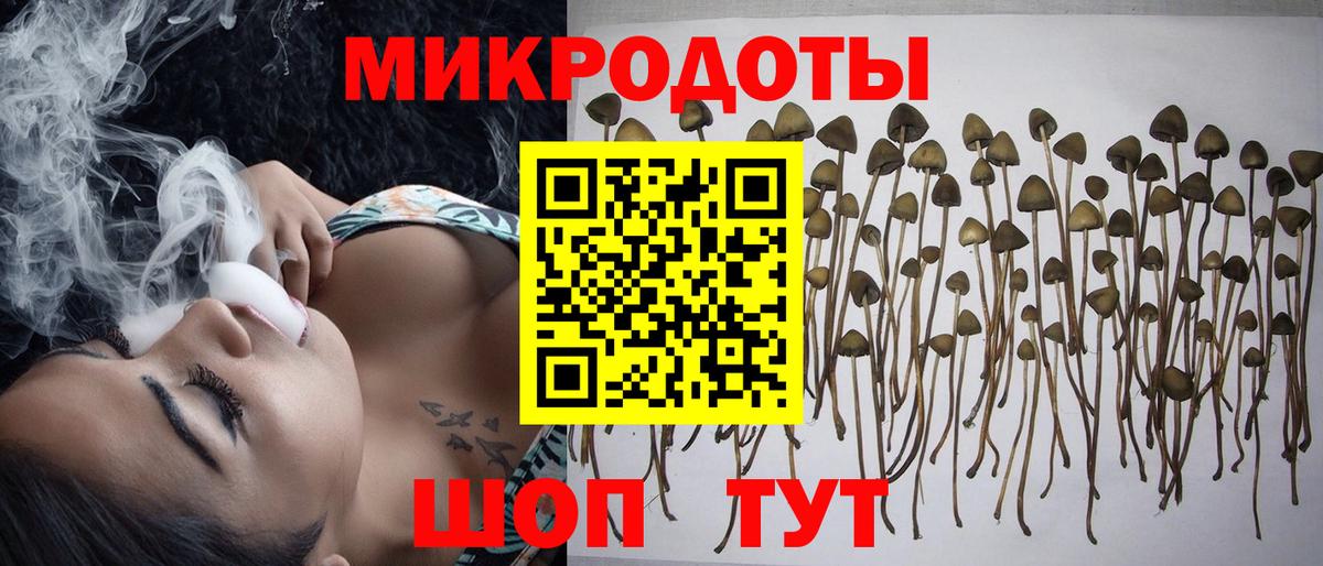 Псилоцибиновые грибы мухоморы  Сатка 