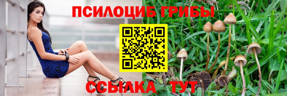 Галлюциногенные грибы Magic Shrooms Сатка